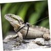 BESTonZON Reptile Leash view 3