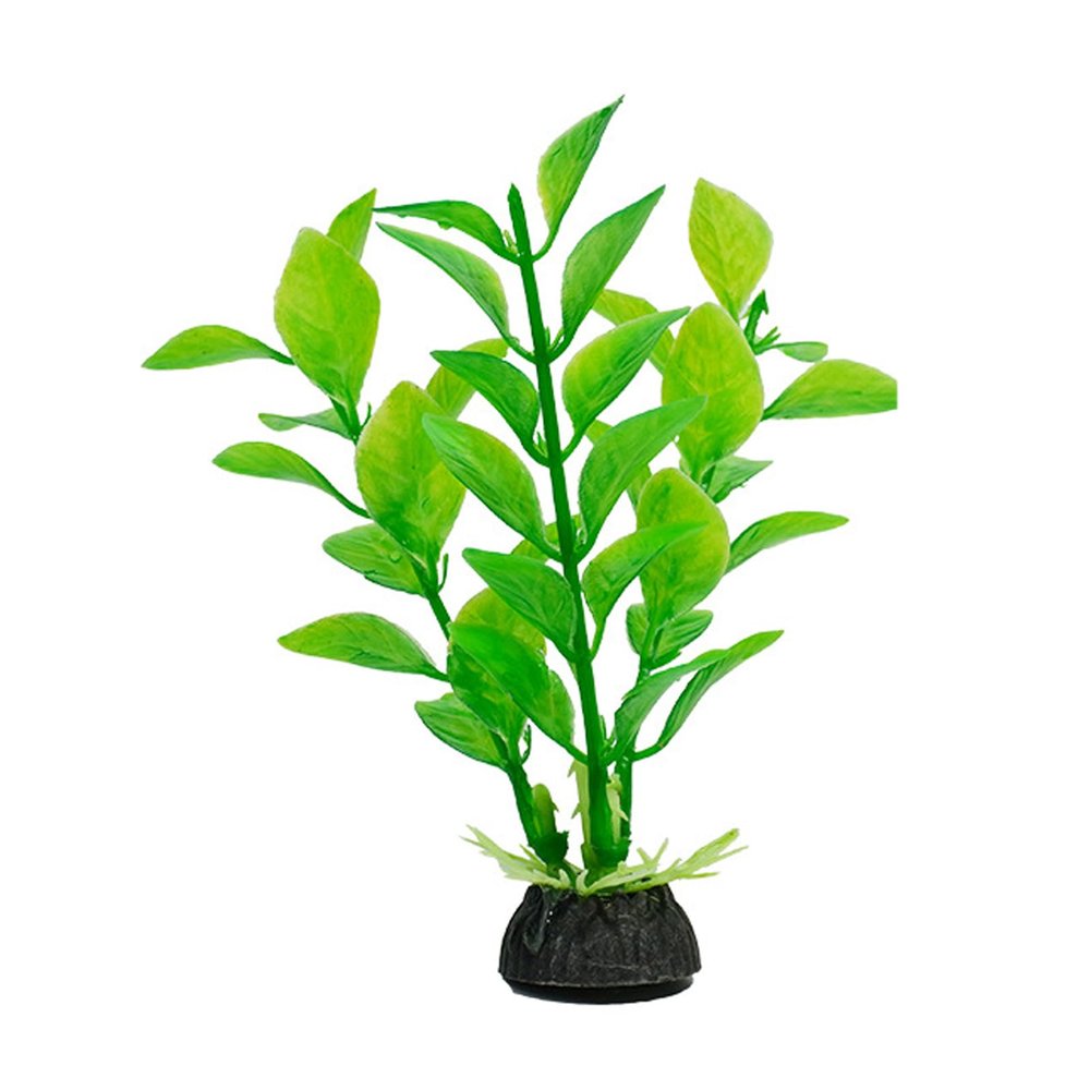 Aquarium Plant Decoration