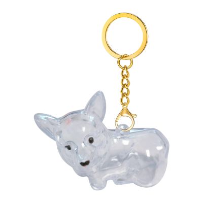 Keychain with Pet Hair