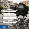 Bergsteiger Venice Nostalgia 2-in-1 Convertible Stroller with Carrycot view 2