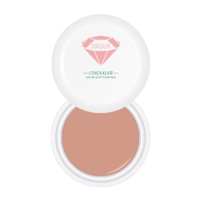 Full-Coverage Waterproof Concealer