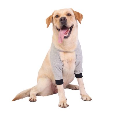 Dog Elbow Bandage, Recovery Sleeve for Medium and Large Dogs (Gray, XL)