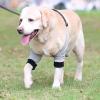 Dog Elbow Bandage, Recovery Sleeve for Medium and Large Dogs (Gray, XL) view 2