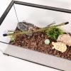 Reptile Branch for Terrarium view 3