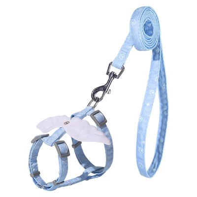 Escape-Proof Harness for Walks with Adjustable Leash