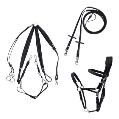 Horse Reins, Complete Bridle Rein Set for Riding and Endurance Racing, Black