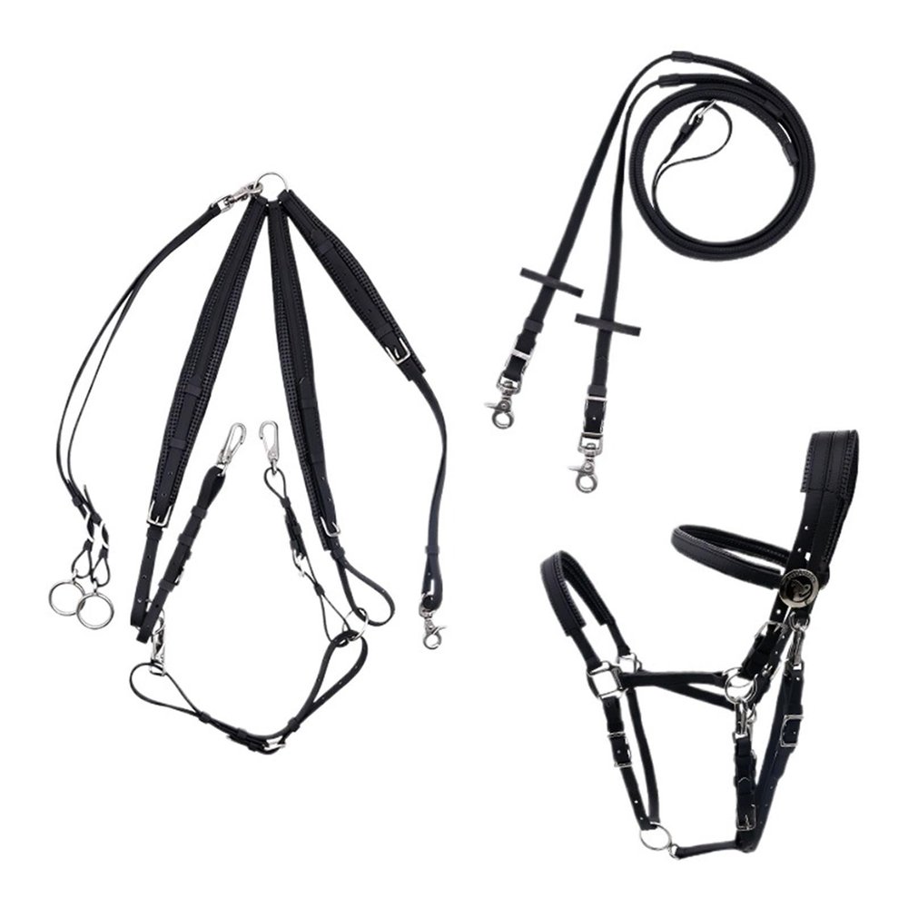 Horse Reins, Complete Bridle Rein Set for Riding and Endurance Racing, Black