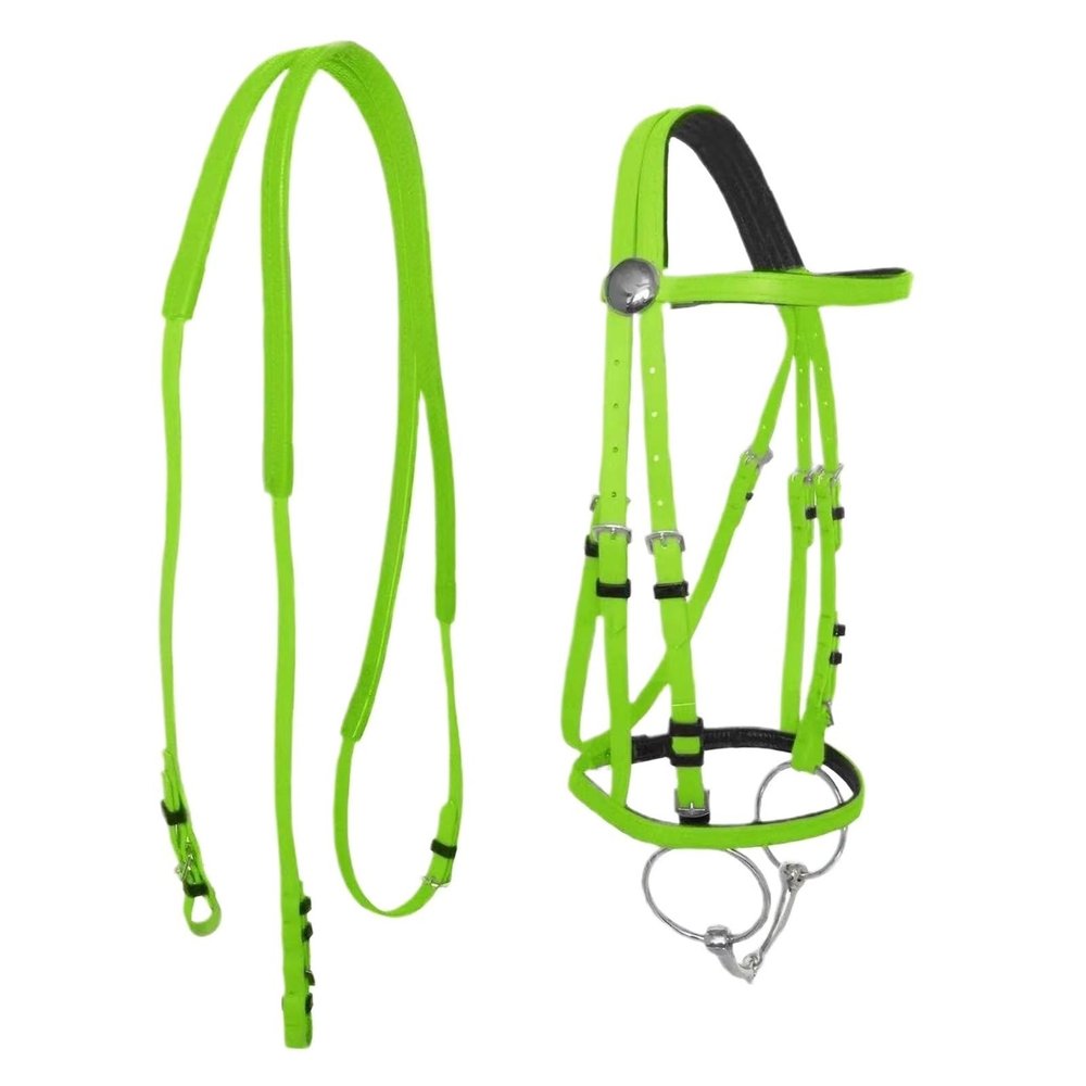 Horse Bridle and Reins, Harness, Anti-Frost and Anti-Slip, Halter, Saddle Irons, Accessories (Green, L)