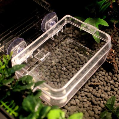 ZJchao Reptile Feeding Dish