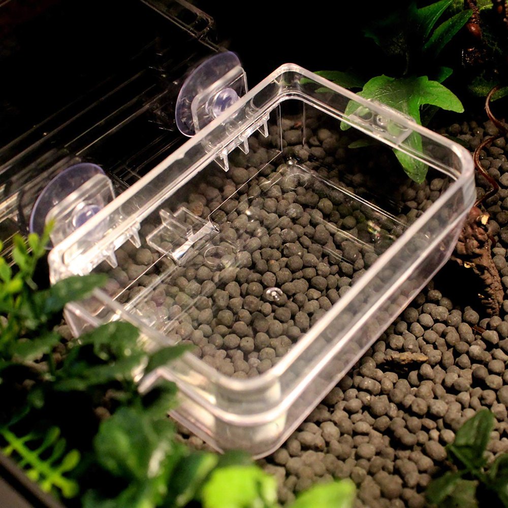 ZJchao Reptile Feeding Dish