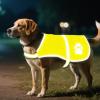 Dog Safety Vest - Fluorescent Reflective Vest for Dogs - Waterproof High-Visibility Training Gear for Safety Camping Hiking Hunting view 3