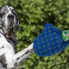 Generic Dog Grooming Gloves, Dog Bathing Gloves view 2