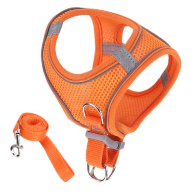 Soft Reflective Mesh Cat Harness and Leash