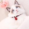 Brrnoo Breakaway Cat Collar with Extension Chain view 1