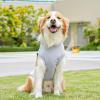 Comfortable Cooling Vest for Dogs and Cats view 3