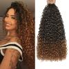 Herkeymidy Pre-Looped Kinky Curly Crochet Hair, 8 Packs, T30, 10 Inch view 1