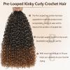 Herkeymidy Pre-Looped Kinky Curly Crochet Hair, 8 Packs, T30, 10 Inch view 4