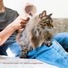 Cat Brush for Shedding and Grooming view 3