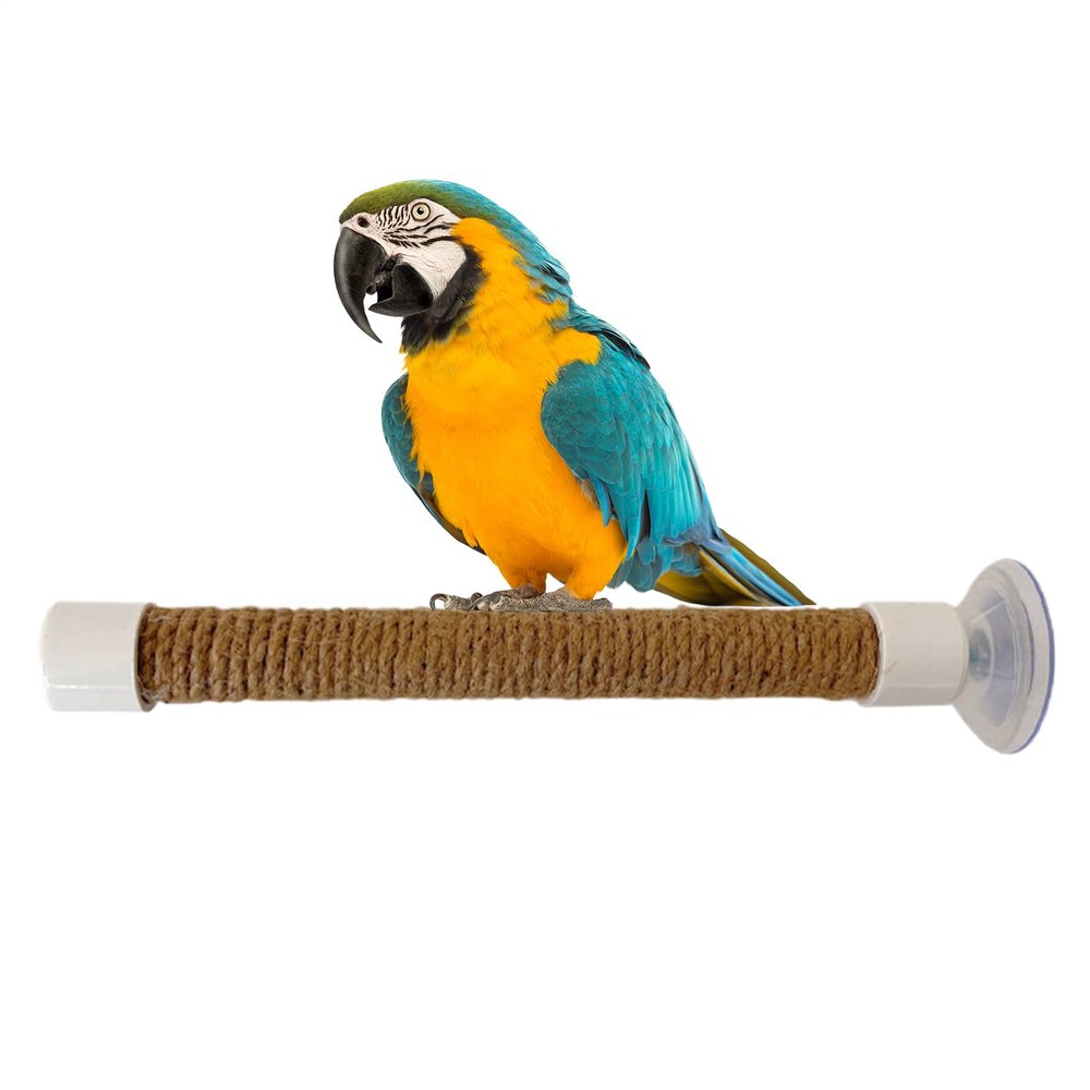 Bird Perch with Suction Cup for Windows