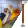 Bird Perch with Suction Cup for Windows view 3