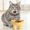 Cat Bowls, 180g 4pcs | Anti-Tip Design, Durable, Easy to Clean, Neck Protection, Multi-Purpose Feeding Utensil view 4