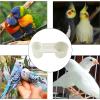 Water Dispenser Clip for Bird Cages and Parrots view 4