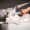 Cat Deshedding Brush for Loose Fur, Detangling, Massage and Cleaning view 3