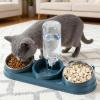 Elevated Cat Bowl with Stainless Steel Bowls and Water Dispenser view 3