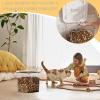 Dog Food Container | Airtight Storage Container with Snap Lid | Transparent Grain Container for Dog, Cat, Bird and Small-Animal Food view 2