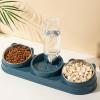 Stainless Steel Cat Food Bowl and Water Dispenser view 4