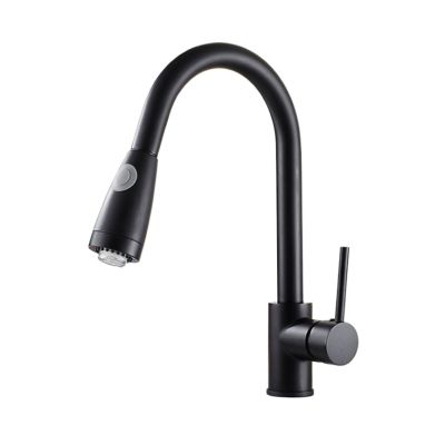 AJYBYUKJ 1-Piece 360° Swivel Kitchen Faucet with Pull-Out Sprayer