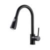 AJYBYUKJ 1-Piece 360° Swivel Kitchen Faucet with Pull-Out Sprayer view 1