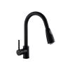 AJYBYUKJ 1-Piece 360° Swivel Kitchen Faucet with Pull-Out Sprayer view 2