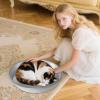 Bollisate 40 cm Aluminum Cooling Dog Bed for Small Dogs view 2