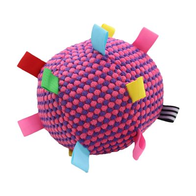 Interactive Dog Ball