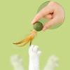 Ancsttu Catnip Toys for Cats view 2