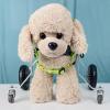Generic Vet-Approved Adjustable Wheelchair for Dogs and Cats, 4-Wheel Mobility Aid for Small to XXL Dogs, XL view 1