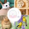Lightweight Hamster Travel Carrier, Durable Small Animal Pet Carrier view 3