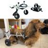Generic Mini Dachshund Wheelchair, Adjustable 2-Wheel Hind-Leg Mobility Aid, XXXS–S view 1