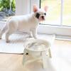 Slow-Feed Ceramic Non-Slip Dog Feeding Station with Stand view 2