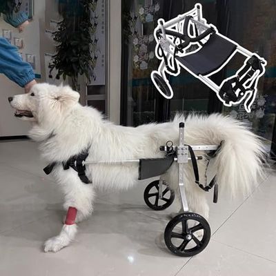 Adjustable Dog Wheelchair for Hind-Leg Support, Mobility, and Comfort