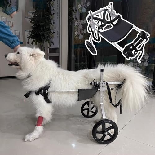 Adjustable Dog Wheelchair for Hind-Leg Support, Mobility, and Comfort