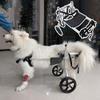 Adjustable Dog Wheelchair for Hind-Leg Support, Mobility, and Comfort view 1