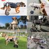 Adjustable Dog Wheelchair for Hind-Leg Support, Mobility, and Comfort view 2