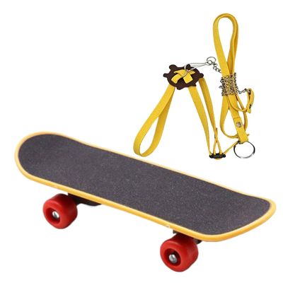 Jeruytgh Turtle Leash and Skateboard Set