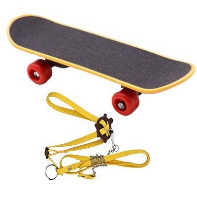 Tortoise Leash and Skateboard Set for Small Reptiles