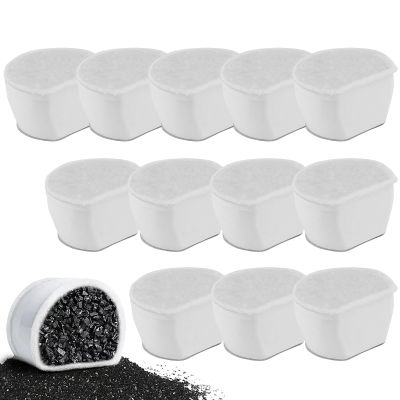 Cat Fountain Replacement Filters, 12-Pack, Odor-Absorbing Filters for Hair, Dirt and Particle Clog Prevention, for Small, Medium and Large Cats