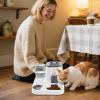Automatic Cat Feeder, Leakproof Water and Treat Accessory view 2