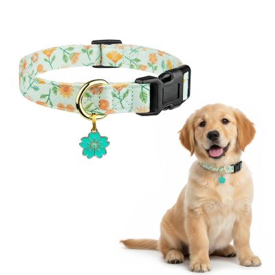 Cotton Dog Collar with Quick Release - Colorful Floral Design