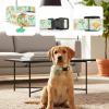 Cotton Dog Collar with Quick Release - Colorful Floral Design view 3